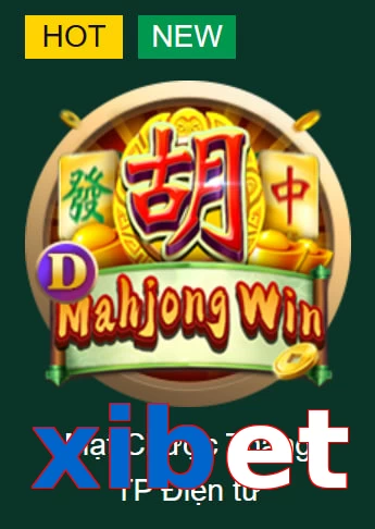 xibet